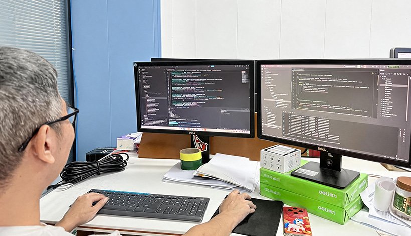 Software Function Customization